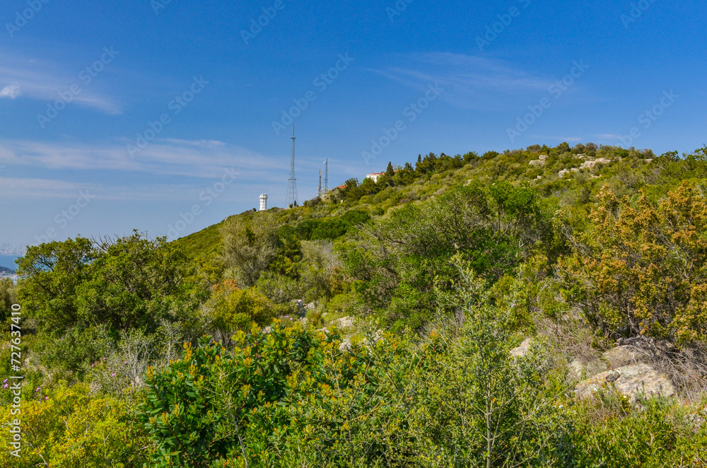 Yucutepe hill  on Buyukada island (Adalar, Turkey)