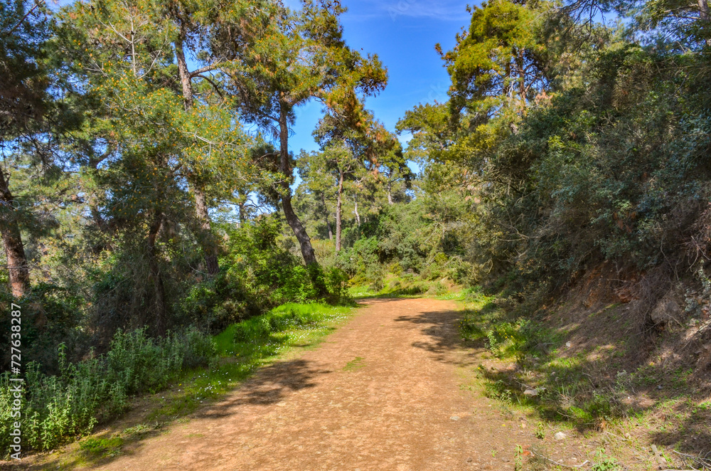 trail in Büyükada Milli Parkı (Buyukada National Park) on Adalar (Princes' Islands), Turkey trail in Büyükada Milli Parkı (Buyukada National Park) on Adalar (Princes' Islands), Turkey