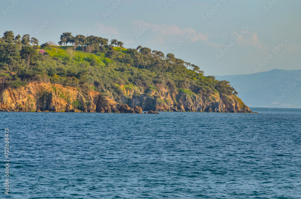 forest covered cliffs of Kasik Island  in Marmara sea (Adalar, Turkey)