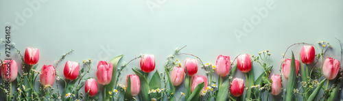 Fresh cut tulips on pastel green background