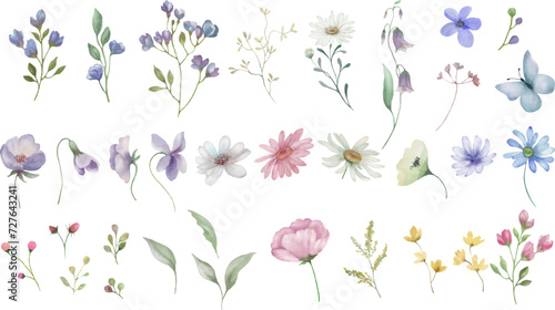 Watercolor floral set. Hand drawn illustration isolated on transparent background. Vector EPS.