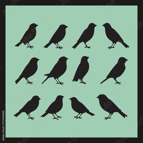 Finch bird silhouette set