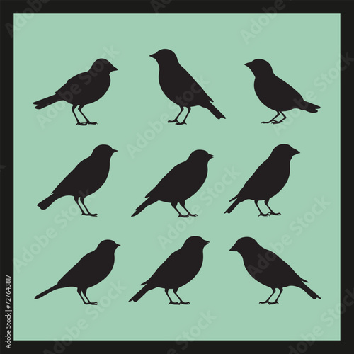 Finch bird silhouette set