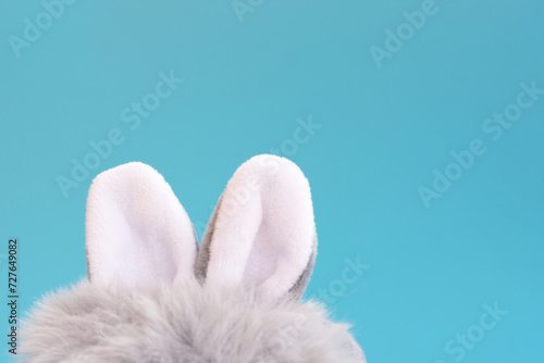 Background with easter hidden furry grey white little soft rabbit long ears with copy space in blue backdrop