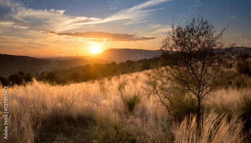 A van traveling at sunset in nature on a canyon path for a road trip to adventure and freedom