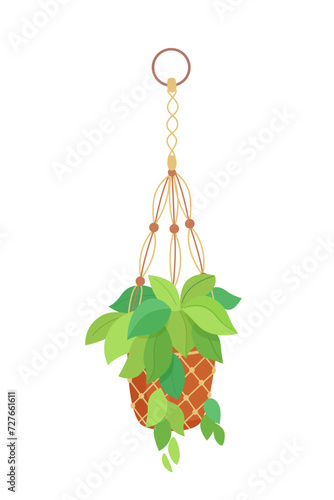 House plant in hanging macrame pot. Home green garden. Vector illustration of tropical flowers in hanger. Cute beautiful handmade home or office decoration