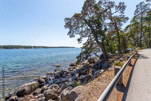 Beautiful nature of Sweden. Coniferous trees on the seashore. Landscapes.