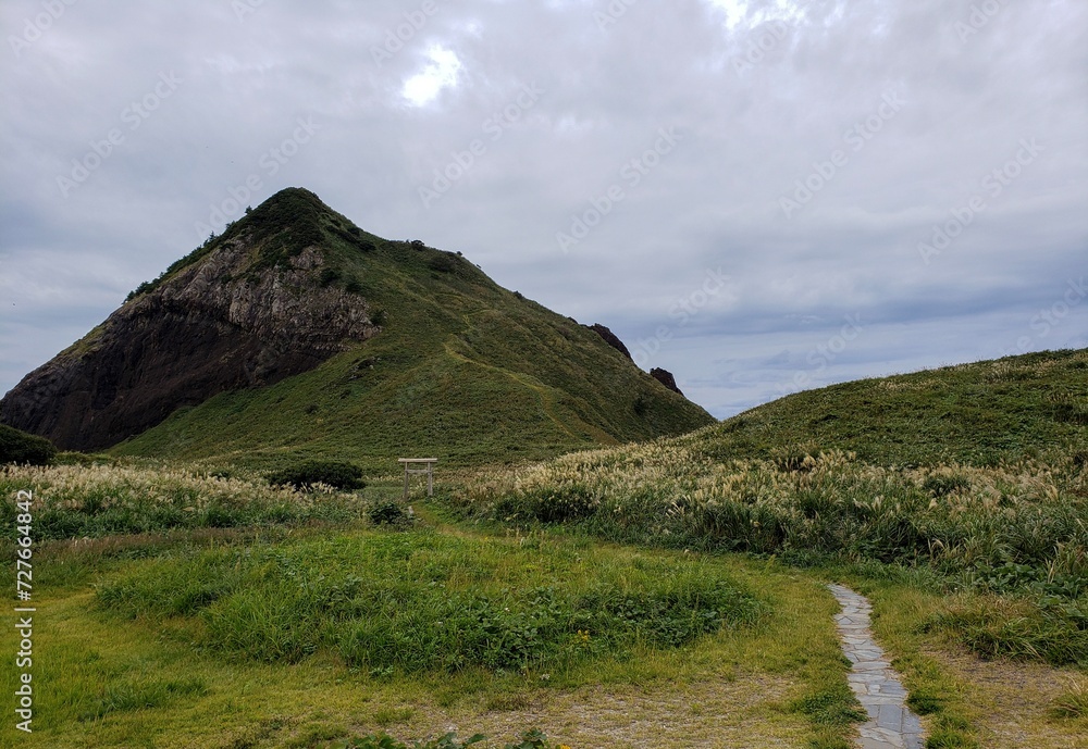 Fototapeta premium 大野亀