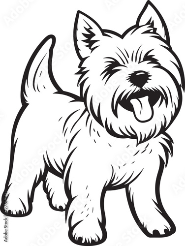 cagnolino simpatico