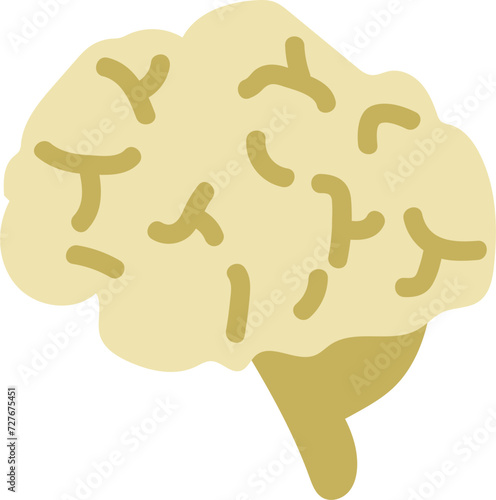 인체장기 모형 아이콘 이미지