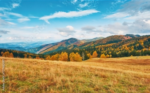 Atmospheric autumn mountain landscape