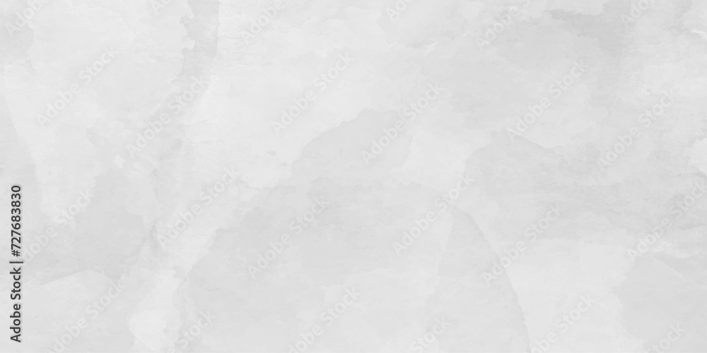 White abstract wallpaper with scratches AI format background painted vector design dust texture.aquarelle stains concrete texture noisy surface.stone granite.old cracked.
White abstract wallpaper with scratches AI format background painted vector design dust texture.aquarelle stains concrete texture noisy surface.stone granite.old cracked.