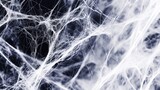 Abstract Spider cobweb white wallpaper