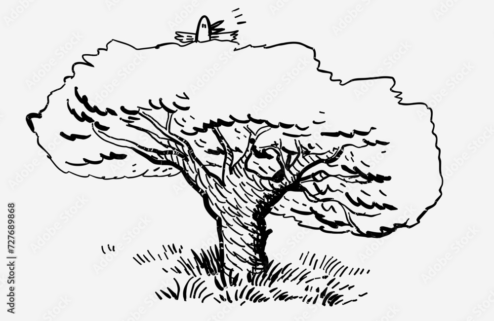 Hand-draw big tree vector image doodle Hand-draw big tree vector image doodle