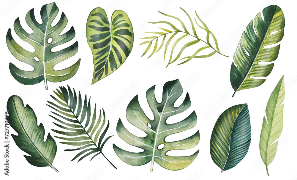 Watercolor set of bright tropical leaves