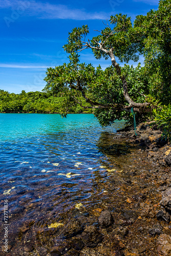Bright heavenly tropical beach Savaii Island, Samoa in the Pacific Ocean, a island with palm trees and seashell. Summer, picturesque light sky, wildlife, blue heaven, sun, great vacation and travel.