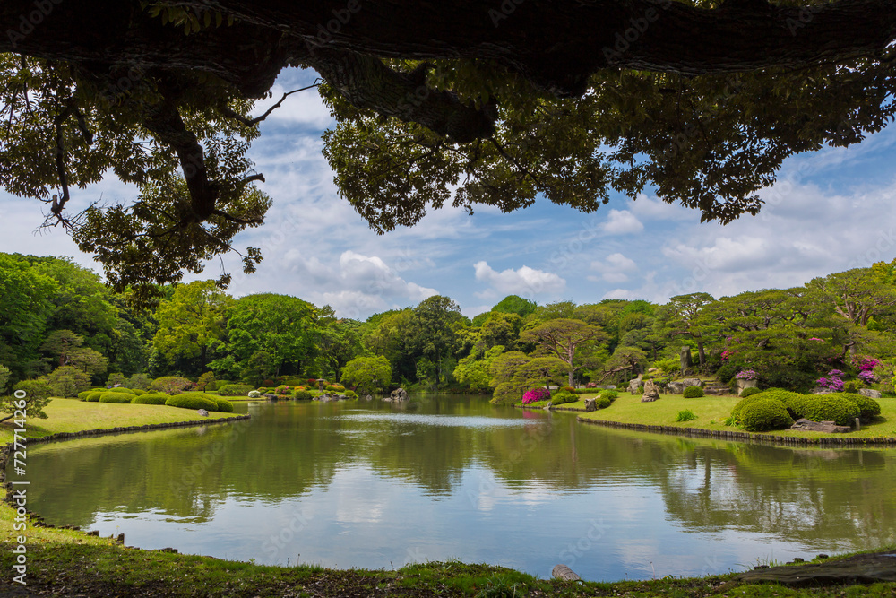 Obraz premium Rikugien Garden, Tokyo, Japan