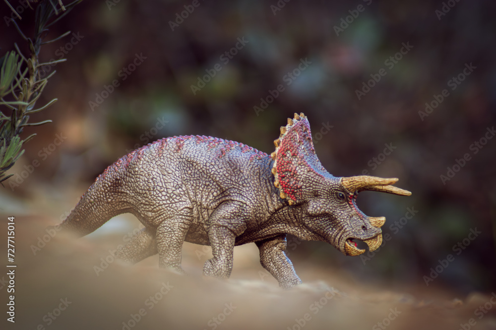 Prehistoric Wonder: Triceratops Roaming Free Prehistoric Wonder: Triceratops Roaming Free