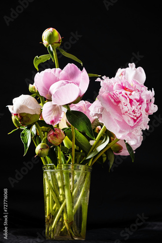 pink peonies in the vase