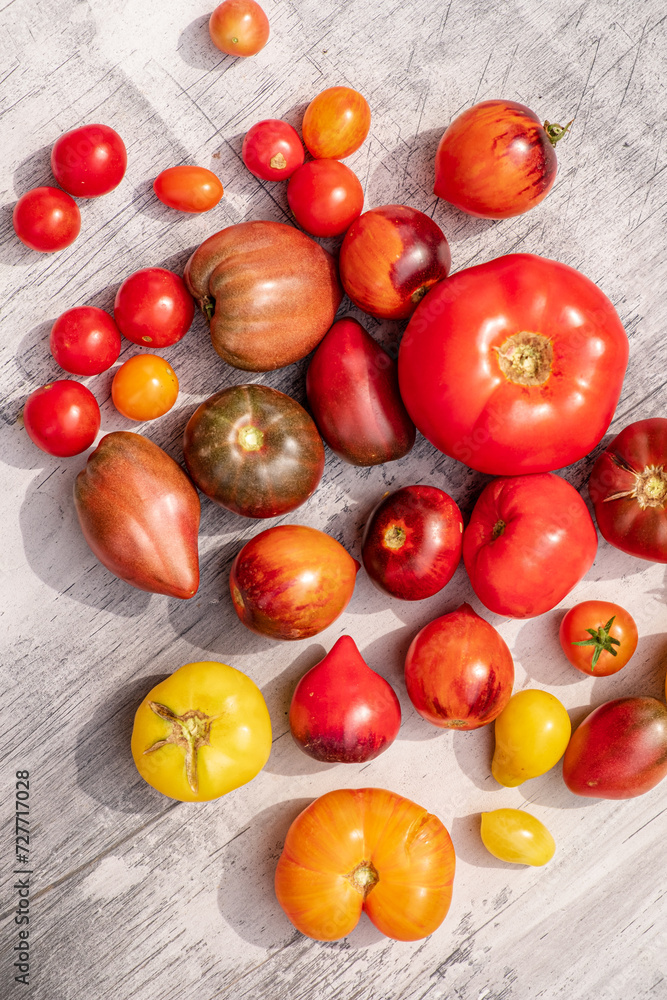 fresh tomatoes on the table fresh tomatoes on the table