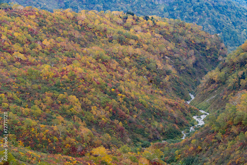 白山平瀬道からの紅葉の眺め © nissy730
