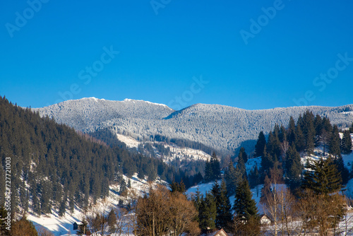 Landscape with Bistritei mountains in Romania in winter