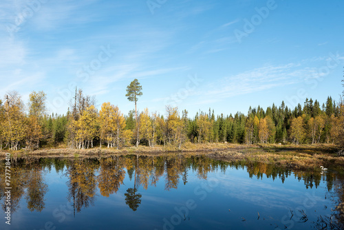 Herbst in Schweden an einem kalten Morgen 