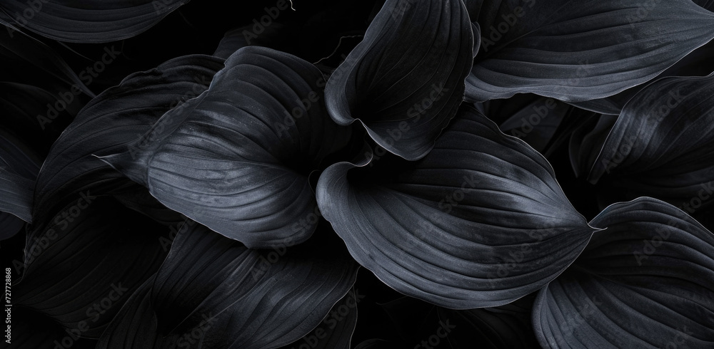 Textures of abstract black leaves for tropical leaf background. Flat lay, dark nature concept, tropical leaf, digital ai Textures of abstract black leaves for tropical leaf background. Flat lay, dark nature concept, tropical leaf, digital ai