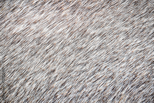 Top view, High-resolution wool is used for making rug.