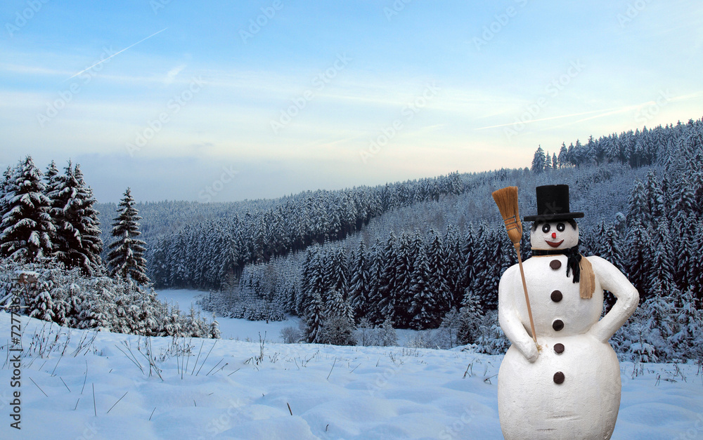 Fototapeta premium Winterlandschaft im verschneiten Wald mit Schneemann