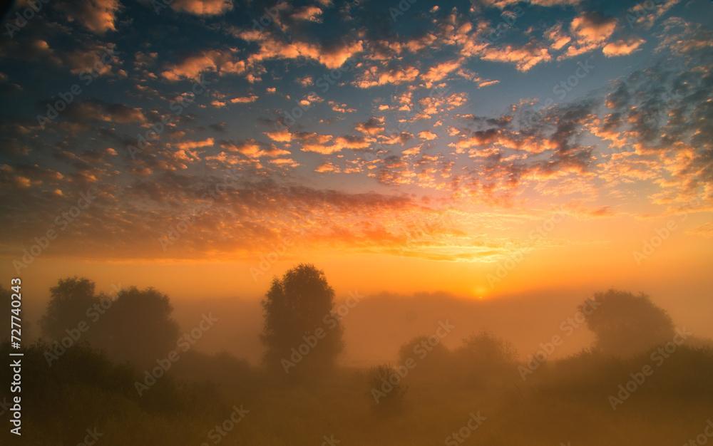 sky in orange and blue with mist and  trees