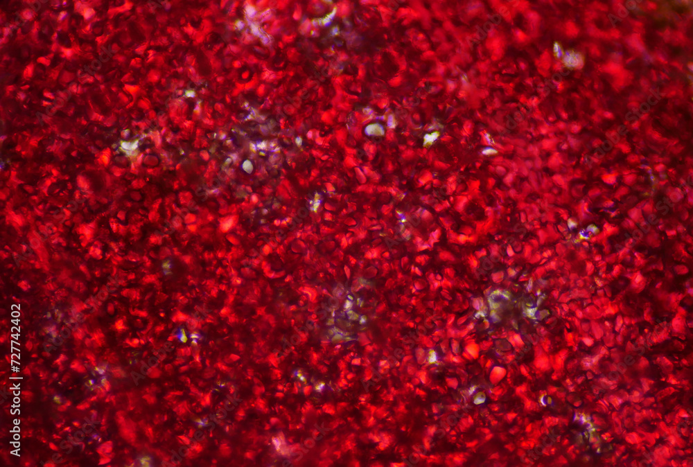 Red plants cell texture. Red plants cell texture.