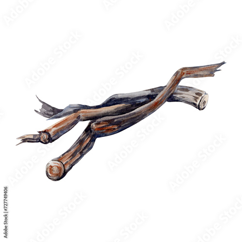 Pile of firewood tree branches. Bushfire, campfire Hand drawn element for tourism, touring, outdoors, 4x4 off-roading, camping designs. Watercolor illustration isolated on transparent background