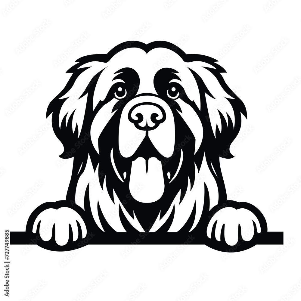 Black And White Leonberger peeking face illustration vector
Black And White Leonberger peeking face illustration vector