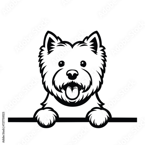 Black And White West Highland White Terrier peeking face illustration vector
 
 