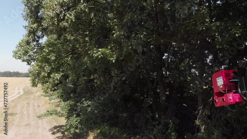  Trimming the trees with saw on the telescopic handler photo