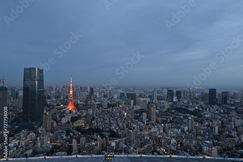 night view of Tokyo from Roppongi Hills © Tonic Ray Sonic