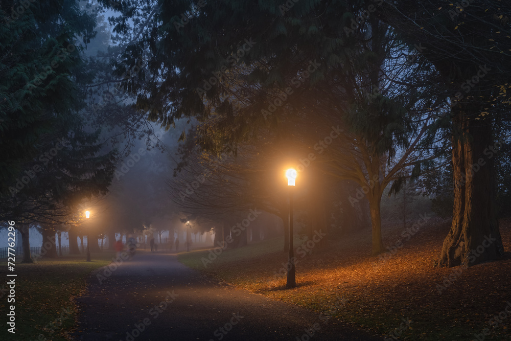 Blurred people, family, that walks in thick fog, on road surrounded by trees and illuminated by street lamps in Phoenix Park, Dublin, Ireland