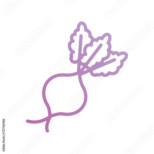 beetroot icon with white background vector stock illustration