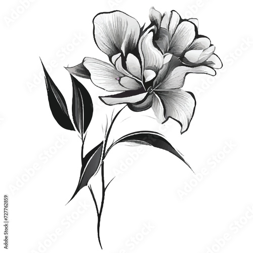 Black white flower isolated on white background. Abstract flower illustration. Flower on a white background. Black-and-white photo. Flower background.  Minimalistic monochrome botanical design.