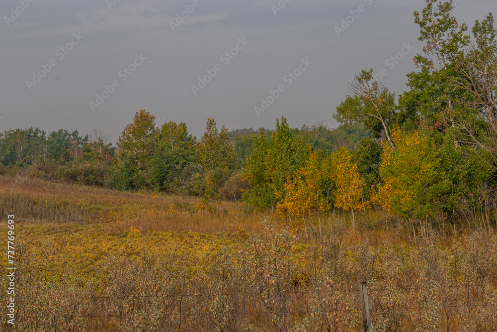 PRA Antelope Hill, Special Area 2, Alberta, Canada PRA Antelope Hill, Special Area 2, Alberta, Canada