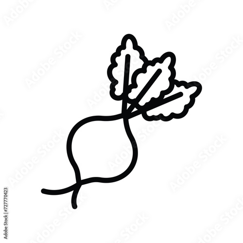 beetroot icon with white background vector stock illustration