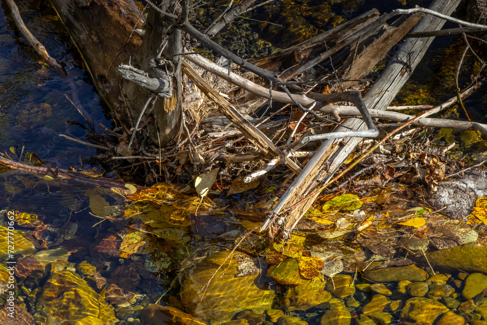 Fototapeta premium PRA Island Lake, Municipality of Crowsnest, Alberta, Canada