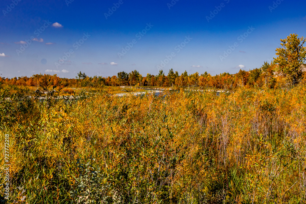 Fototapeta premium Woolford Provincial Park Cardston County Alberta Canada