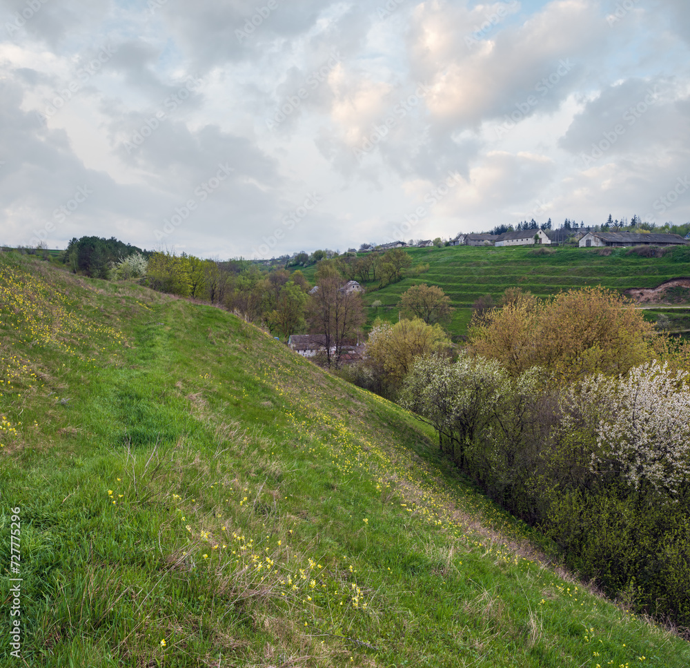 Spring rural hills landscape with terrace fields, farm flowering trees, hilly meadows. Sutkivtsi village, Khmelnytsky region, Ukraine.