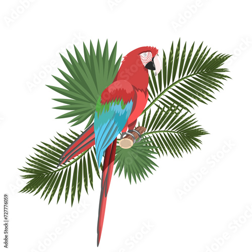 Composition of macaw parrot in tropical foliage on a white background.Vector illustration for textiles, cards, summer travel designs.
