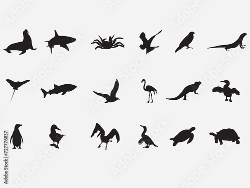 set of galapagos island species and animal silhouette.bird,fish,lizard and mammalm © Rifai