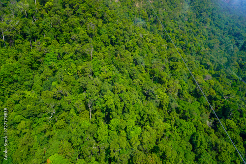 Nature of Langkawi island in Malaysia. Mountains and jungle