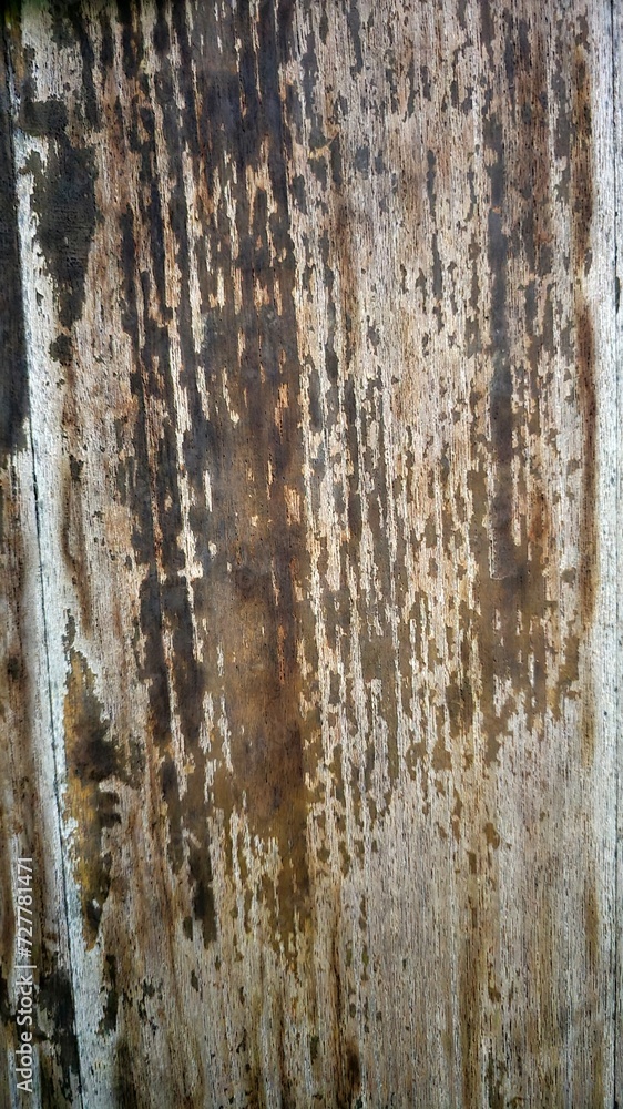 Obraz premium wood texture with scratched paint.