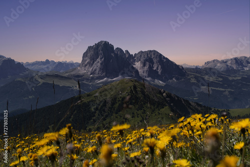 Vista del Sassolungo e Sassopiatto dal Seceda, gruppo delle Odle, Val Gardena, Dolomiti, Italia photo